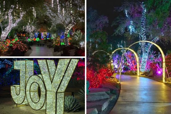 Colorful Christmas lights at the Ethel M Holiday Cactus Garden in Henderson
